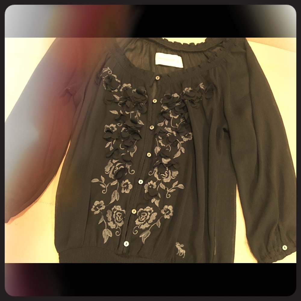 Abercrombie And Fitch Blue Sheer Blouse M